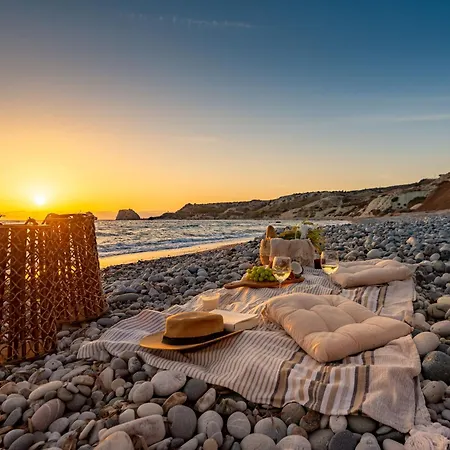 Sanders Olive Shared Pool *