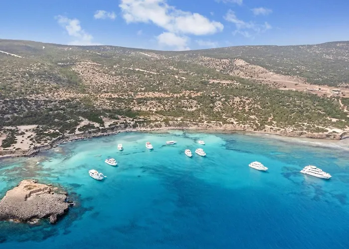 Sanders Olive Shared Pool Lejlighed *